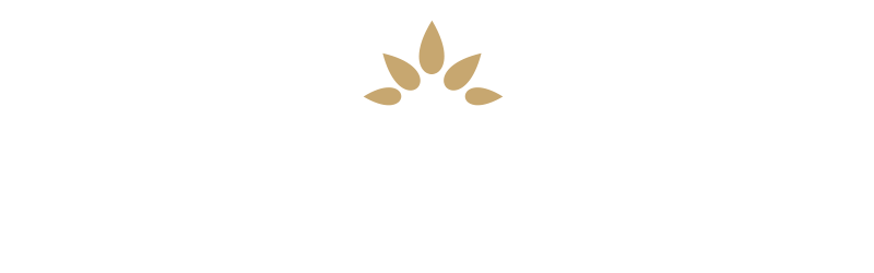 Not Your Parents Financial Guy